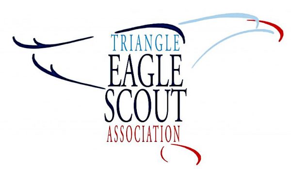 TESA logo